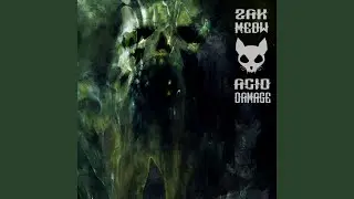 Acid Damage