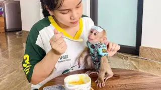 Monkey DauTay&rsquo;s Sweet Recovery with His Caring Mom by His Side!