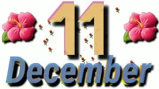 11 December , Happy Birthday Wishes WhatsApp Video Status...