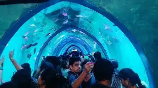 Underwater Fish tunnel Exhibition on vizag !! fish aquarium in Visakhapatnam !! kiranmoilifestyle