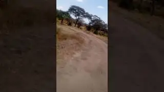 Tailor Made, camping and luxury safari