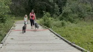 New Bunker boardwalk is going to be huge upgrade