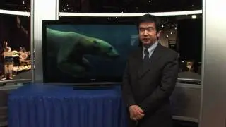 CES 2010: новый 3D-телевизор BraviaLX900