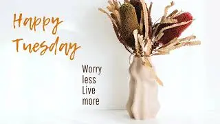 Tuesday Blessings|Tuesday Status|Tuesday Morning Greeting|Happy Tuesday Wishes#tuesday#status#fyp