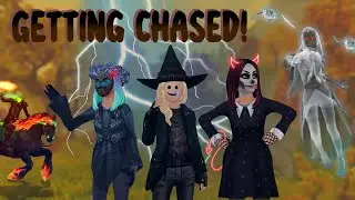 Witch&rsquo;s Gambit gone WILD! | Star Stable