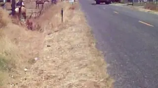 Recycling Collection in Elverta!