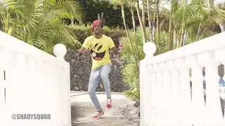 AKWAABA DANCE VIDEO ft Shady Squad