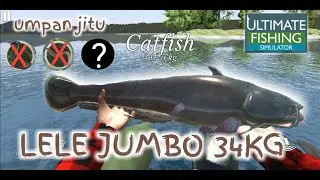 NGALAHIN MASTER KEDEHHE !!! LELE JUMBO | UMPAN JITU | ULTIMATE FISHING SIMULATOR