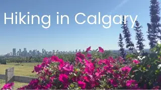 Things to Do in Calgary: Nose Hill Park Hike & Walking Tour | Calgary Nature & City Views