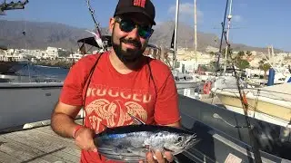 PESCA DE BONITO AL CURRICAN EN TENERIFE