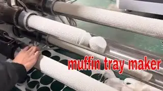 JDGT-R24 new smart paper cup forming machine 4 sets molds roll muffin cake tray machine