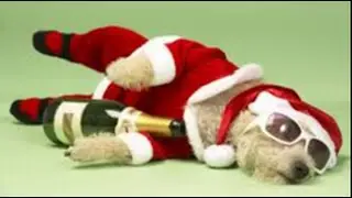 Bondzee Live The Xmas Hangover Blues, Guest Jake Buckley, Lochlin Cross, Dean Blundell, Ryan Lindley