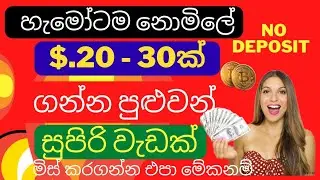 earn money online | new application | e money sinhala 2022 |earn money online
