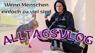 Zwischen Trubel und R&uuml;ckzugsmomenten | Alltagsvlog