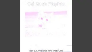 Happening Relaxing Your Cat