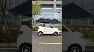 Automatic car umbrella