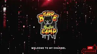 Introduction to Bizarre Bullie Camp