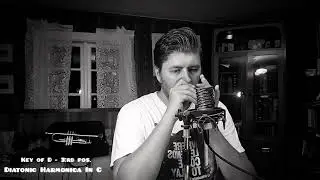 Blues In All Keys on One Diatonic Harmonica in C