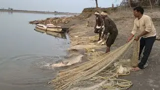 बड़े जाल का कमाल देखिए #gangariver #short #video #fishandfishing7 #realfishing2