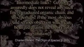 A Question of Origins