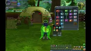 DBO cap Lvl 60 Crane PVP BEST BUILD you can make
