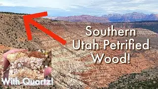Rockhounding Petrified Wood in Southern Utah