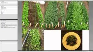 High Tunnel Crop Selection with Dr. Liz Maynard