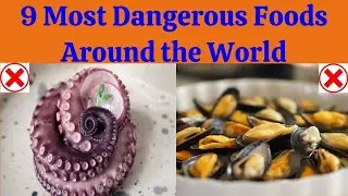 9 Most Dangerous Foods Around the World
