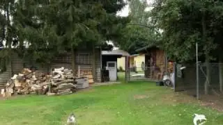 Besuch auf dem Storchenhof Papendorf