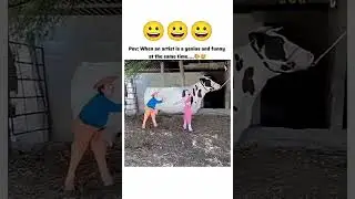 Don't miss end# OMG                   #artist #genius #funny # buffalo # cow funny
