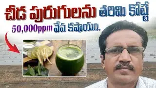 Vepakashayam 50,000PPM | NSKE | Neem Oil Uses | వేప కాషాయం తయారి.