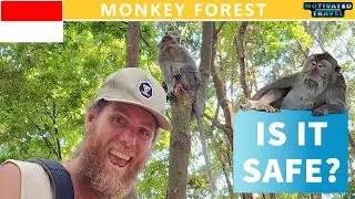 Guide: Full Monkey Forest Ubud Bali review (with kids) | Scared Sanctuary