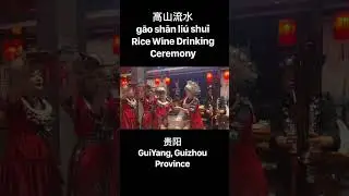 Gao Shan Liu Shui (Gao Shan Liu Shui) Rice Wine Drinking Toast #china #Guiyang #Guizhou #chinatravel