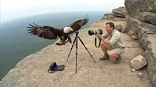 Wild Animals Surprised Photographers in An Unexpected Way