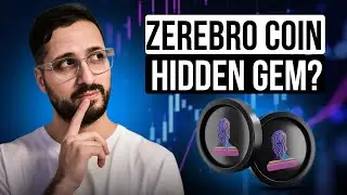 Zerebro &ndash; скрытая жемчужина, готовая потрясти рынок!