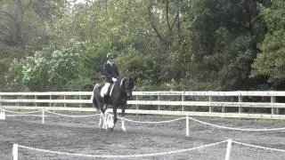 Lisnahall Imperier - 2nd Place, Radnor Horse Trials