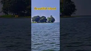 Hidden Island of Upper Lake 🌊 | Peaceful Bhopal Trip | Nature Vibes #bhopal #lake #shorts