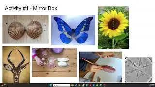 Learning Home Volunteers: Shapes 2026:   Week 1