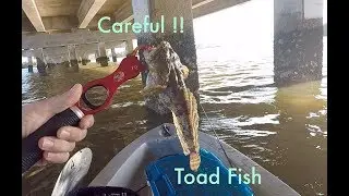 Attempted Sheepshead Fishing with Artificial Crab - Cedar Key FL