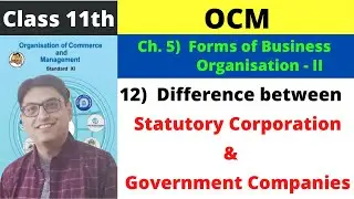 Distinguish between Statutory Corporation and Government Companies