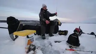 Fire-Belly Fishing Report with Gussy
