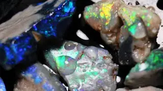 Uncut Gems Black Opal Cutting!