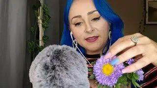[ASMR] Eating sweets + whisper and chat, mouth sounds. Little Owl ASMR 🦉🌸🍬