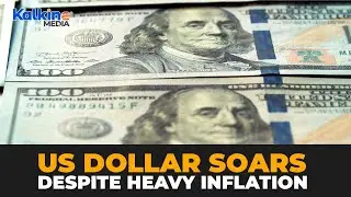 Why is the US Dollar So Strong?