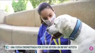 Gos d'Autisme