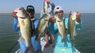 INSANE Big Bass topwater blowup! (UP CLOSE!)