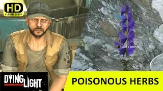 Poisonous Herbs | Side Quest | Dying Light | FULL HD 60fps | Tutorial