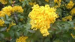 DSCN4048