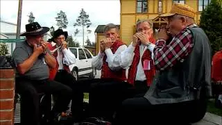 Etel&auml;pohjalaiset Spelit 2015 Ilmajoki -  huuliharppukvintetti - Totisen pojan jenkka