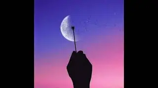 INDIE POP x BEDROOM POP TYPE BEAT | 